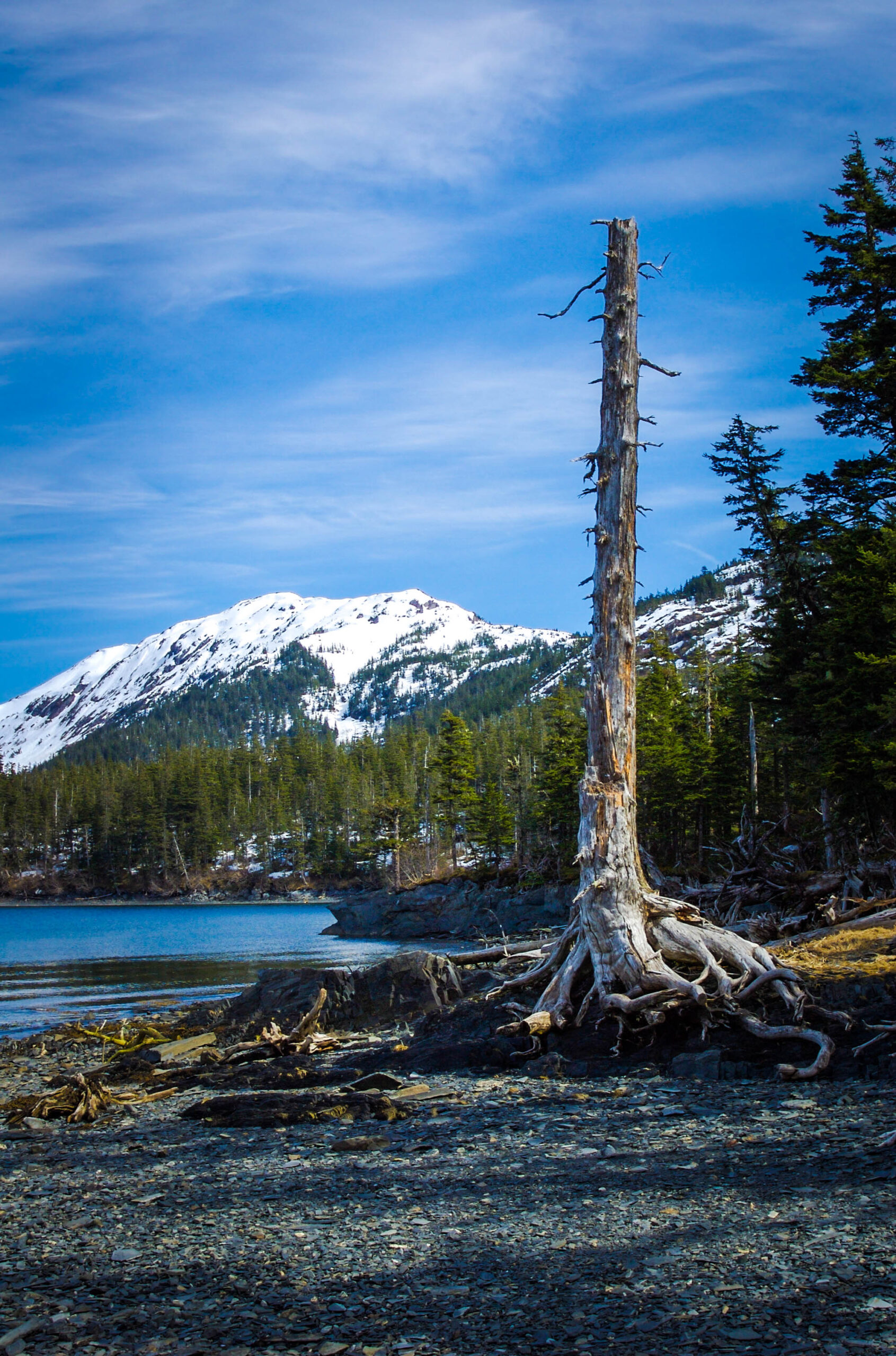 Alaska glacier landscape