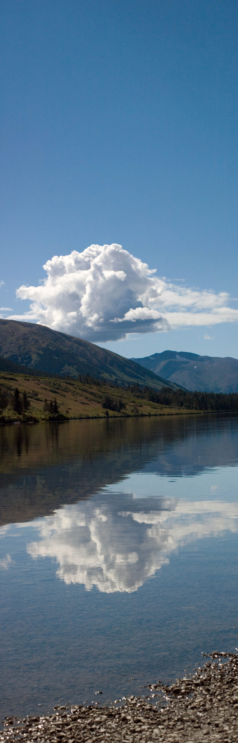 Bear Salmon River
